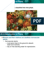 Classification of Plants