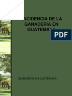 Incidencia de La Ganaderia en Guatemala