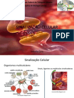 Aula de Sinalização Celular