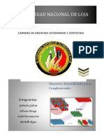 Bioestadística: Muestreo Estratificado y Por Aglomerados