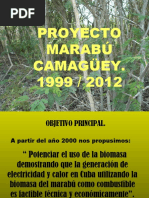 Marabu Proyecto