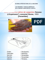 Langostinos 2014-Ii PDF