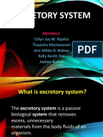 Excretory System New