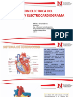 Conduccion Electrica Del Corazon PDF