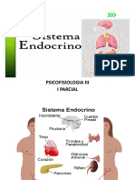 Sistema Endocrino