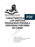 Caracteristicas de Los Orificios Producidos Por Arma de Fuego