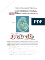 Embriología Del Ojo - VALERIANO