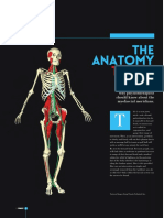 Anatomy Trains PDF