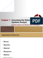 Assuming The Roles Of: Systems Analyst