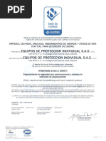 Certificado Ansi Z359.3-2007 PDF