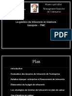 La Gestion de Trésorerie Et Relations Banques - PME: Master Spécialisé Management Financier de L'entreprise