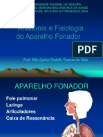 Anatomofisiologia Da Voz