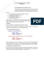 Informe Purificación