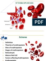 Erythropoiesis 150731072608 Lva1 App6891