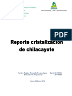 Reporte Chilacayote