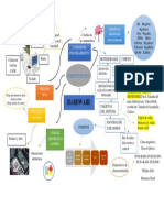 Mapa Mental Fundamentos