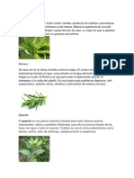 25 Plantas Medicinales, para Que Sirve y Nombre