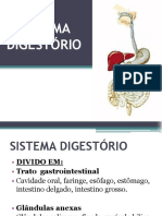 Sistema Digestório