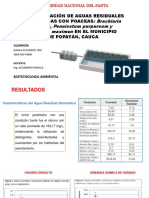 Fitodepuración de Aguas Residuales