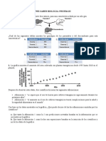 Prueba 3