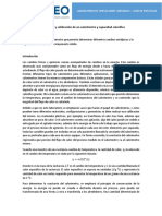 Guía de Práctica 2 - Construccion y Calibracion Calorimetro y CP