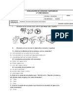 Evaluación de Ciencias Naturales Las Plantas