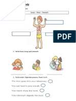 A Working Body: 1. Write The Organs. Lungs - Heart - Stomach