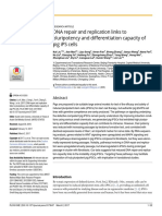 DNA Repair and Replication Links To Pluripotency and Differentiation Capacity of Pig iPS Cells