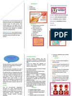 DIAGNOSTICO Triptico de Cancer Del Cuello Uterino