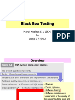 7 Black Box Testing