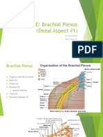 Table E-Axillary