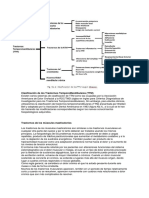 Clasificacion de Tta