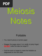 Meiosis Foldable