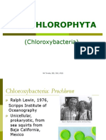 04 Prokaryotic Algae Procholopytes