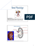 Renal Physiology Handout 2 Slides Per Page PDF