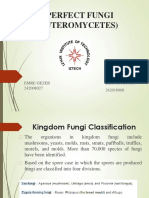 Imperfect Fungi (Deuteromycetes) : Emre Gezer 242008027 Buse Tütüncü 242016006