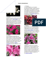 Plantas Ornamentales