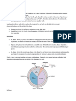 Phases of The Cell Cycle