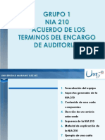 Presentacion Nia 210