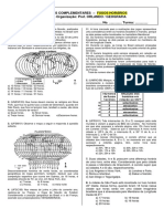 Fusos Horários PDF