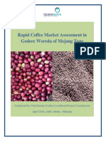 Coffee Assessment Report - Fufa 2016 PDF