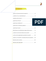 Sistema Penal Acusatorio PDF