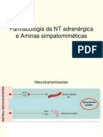 Aula 3 - SNA 2015 1 Adrenérgico