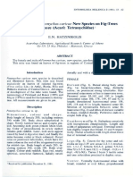 Description of Panonychus Caricae New Species On Fig-Trees in Greece (Acari: Tetranychidae)