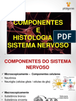 Componentes e Histologia Do Sistema Nervoso PDF