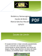 Trabajo de La Planta de Zacate de Limon