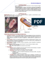 E. Coli y Otras Enterobacterias