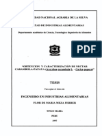 Obtención y Caracterización de Néctar de Papaya