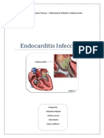 PAE Endocarditis