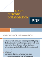 2.4 2.5 Radang Akut Kronik Dan Morfologi